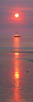Sunset 'Willie'