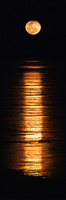 Stairway to the Moon