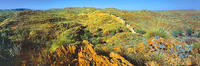 Natural China Wall