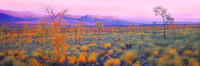 Cockburn Range