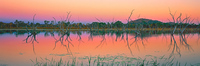 Lily Creek Lagoon
