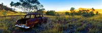 Golden Holden