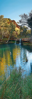 Fern Pool vertical
