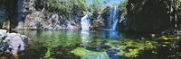 Florence Falls