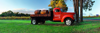 'Red Truck' - Island Brook Estate