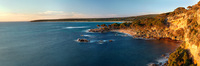 Shelly Cove