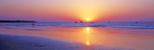 Vivid Light