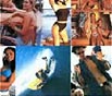 Star Surf Add