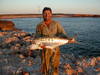 Queenie on Lure
