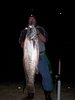 South Coast Night-time Mulloway