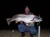 South Coast Night-time Mulloway
