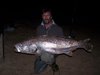 South Coast Mulloway