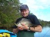 Blackwood Lure caught Bream