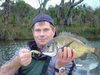 Blackwood Lure caught Bream