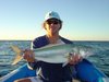 Bunker Bay Salmon