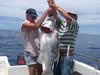 Big Dhu onboard