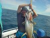 Nor-West Yellow fin Tuna