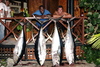 Good catch of Yellow Fin