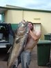 Big Sambo taken from shore on 15kg line and Smilin Jack!