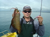 Squid from Geographe Bay