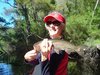 Rainbow Trout on lure