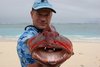 Fijian Coral Trout