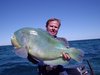 Bluebone (Blackspot Tuskfish)