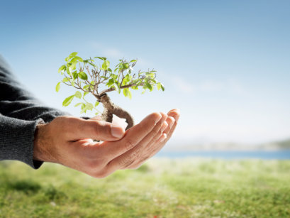 What are the challenges in designing environmental polcy instruments? Incentivize the future !