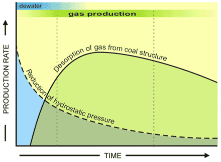 Production Profile 440