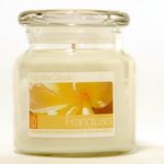 16oz Frangipani Soy Jar Candle <br /><br />