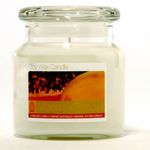 16oz Mango and Papaya Soy Jar Candle <br /><br />