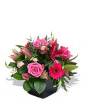 Zen, Send these flowers to Perth