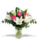 Pure - Beautiful fresh flowers for delivery to Perth