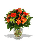 Lime and Orange - Beautiful fresh flowers for delivery to Perth