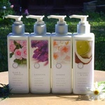 Hand and Body Lotion Coconut and Lime