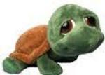 Li'l Peeper Turtle Shecky Small