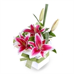 Oriental Surprise - Perth Flowers, Hand Delivered