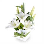 Pure Orientals- Perth Flowers, Hand Delivered