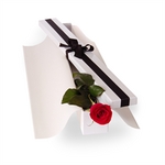 Single Boxed Red Rose