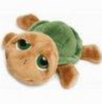 Li'l Peeper Turtle Shenton Small