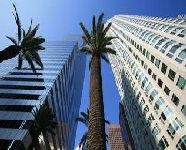 LOS ANGELES