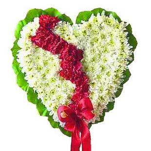 Heart of Love