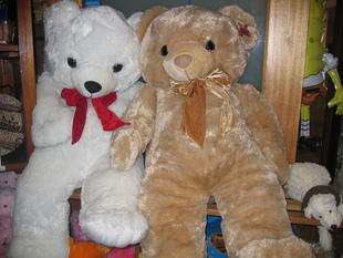 Jenny Bear gigantic teddy