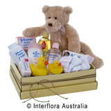 Snuggles 772