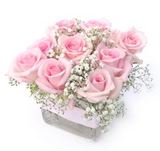 Cinnamon Roses