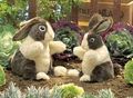 Dutch rabbit puppet large
