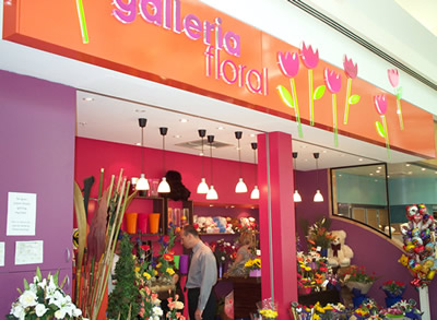 Perth Flower Delivery - Galleria
Floral