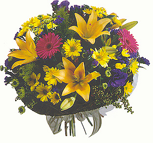 SIMPLY BECAUSE