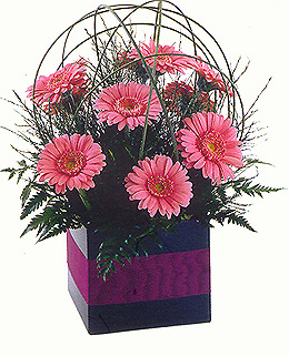 JUST FOR YOU