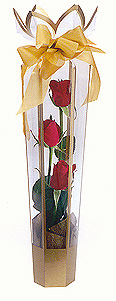 TUBULAR ROSES